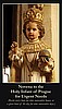 ***NEW*** Infant of Prague Novena Prayer Card