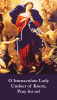 ***NEW*** Our Lady Undoer of Knots Prayer Card