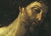 CROWN OF THORNS