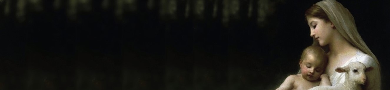 Header Graphic