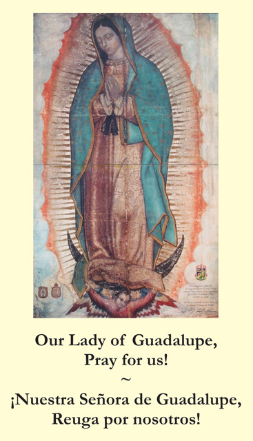 Free Catholic Holy Cards - Catholic Prayer Cards - St Therese of Lisieux -  St. Joseph - Our Lady of Guadalupe - Sacred Heart of Jesus - John Paul the  Great - Support Missionary work