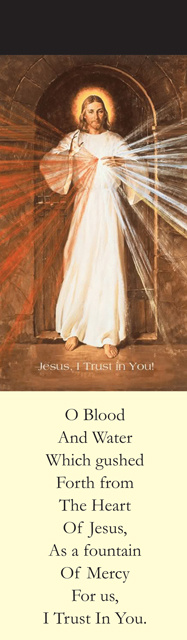 Divine Mercy Chaplet Bookmark