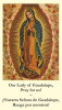 *BILINGUAL* Our Lady of G