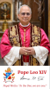 NEW POPE LEO XIV MAGNETS