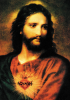 Sacred Heart All Purpose Mini Note Card - 10 Pack