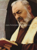St. Padre Pio Magnet