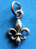 Fleur-de-Lis Charm